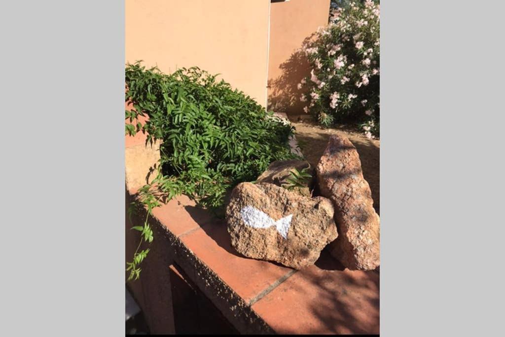 Il Canneto Cannigione