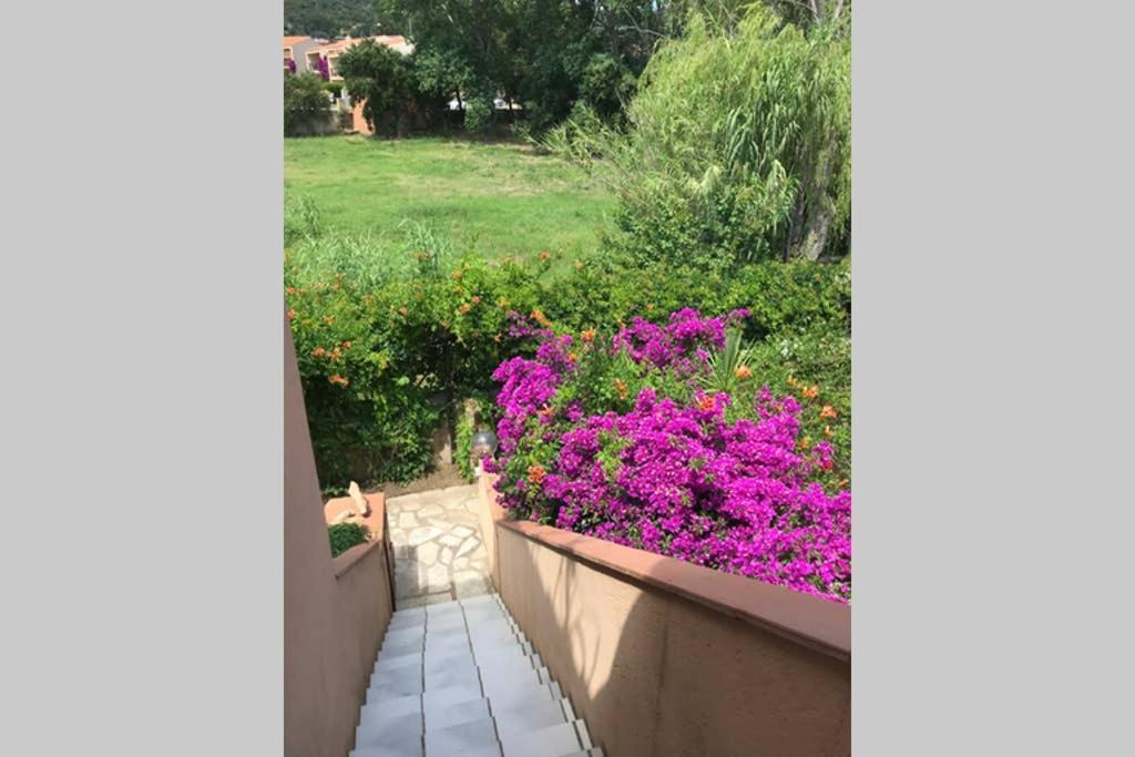 Il Canneto Apartment